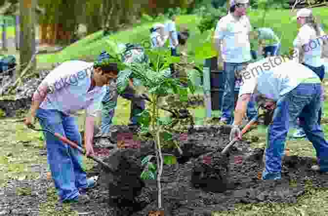 A Group Of People Planting Trees In Costa Rica Tracking Turtles: A Diary Of Our Conservation Trip To Costa Rica