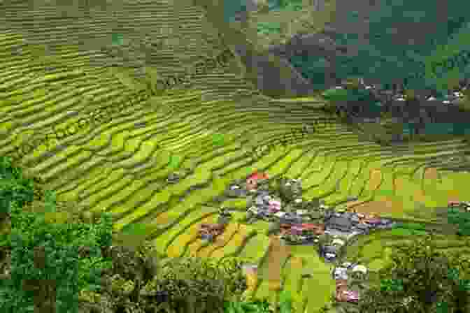 A Panoramic View Of The Iconic Banaue Rice Terraces In The Philippines, Showcasing The Meticulously Carved Rice Paddies And Lush Green Mountains Time To Travel To The Philippines : Picture Perfect Paradise