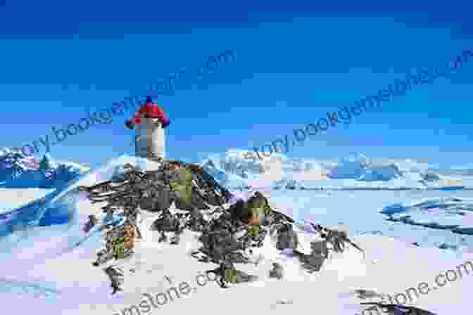 A Person Standing On A Hill In Antarctica, Looking Out At The Vast Landscape. Antarctica: Penguins Whales And Happiness