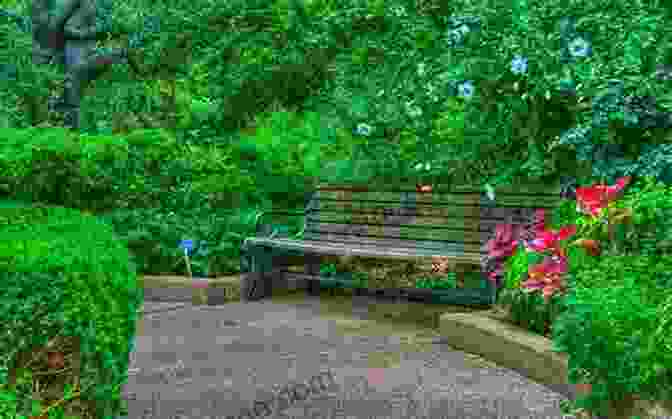 A Serene Park With Lush Greenery And Benches Spanish For Beginners: Special Edition: 20 Short Stories To Learn Spanish Easily Increase Vocabulary And Have Fun (two Dual Language Spanish And English Books)