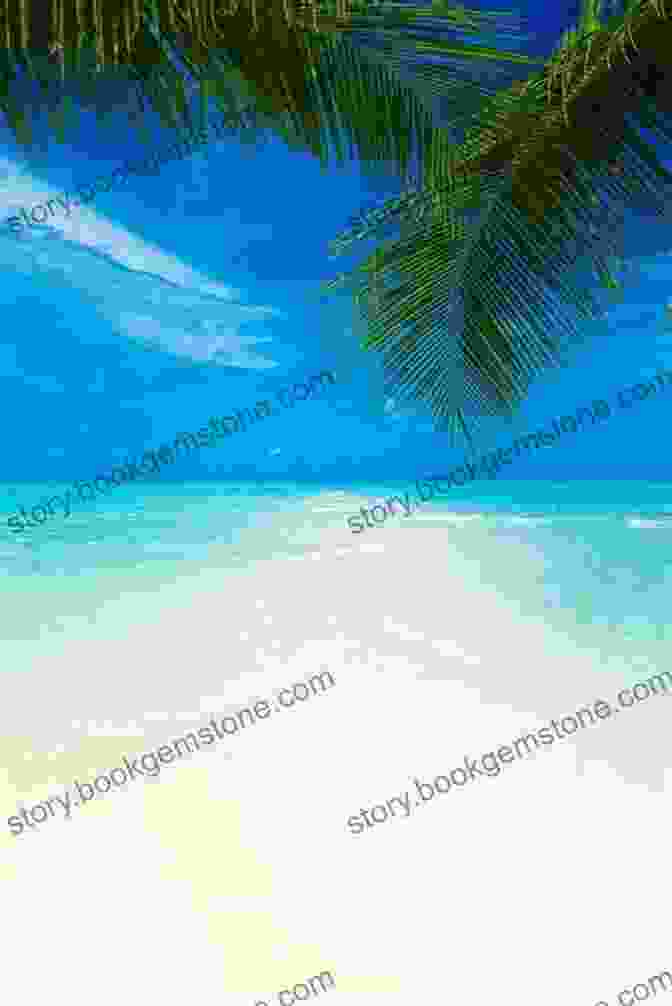 A Stunning Beach Scene With Crystal Clear Waters And Swaying Palm Trees, Evoking The Allure Of A Tropical Paradise Another Day In Paradise (Tails From Paradise 1)