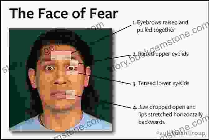 Fear Facial Expression Facial Expressions: A Visual Reference For Artists
