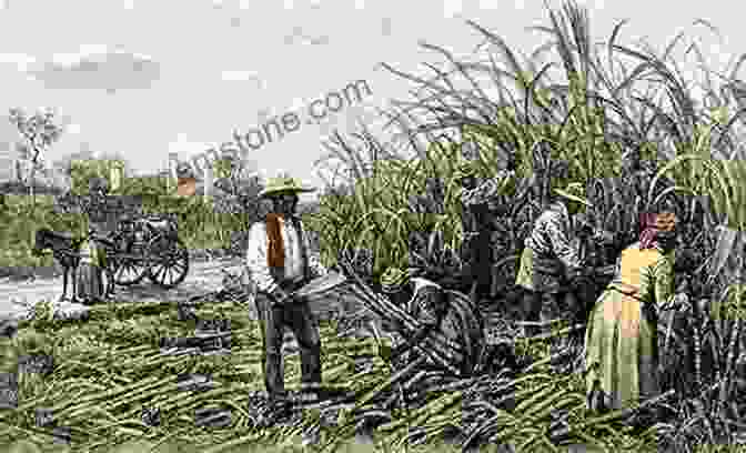 Image Of A Plantation Scene During The Era Of Slavery Lose Your Mother: A Journey Along The Atlantic Slave Route