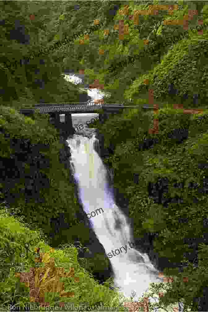 Road Winding Through Lush Vegetation And Waterfalls On The Hana Highway Hollywood Death And Scandal Sites: Seventeen Driving Tours With Directions And The Full Story 2d Ed