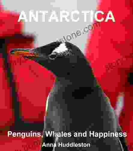 Antarctica: Penguins Whales And Happiness