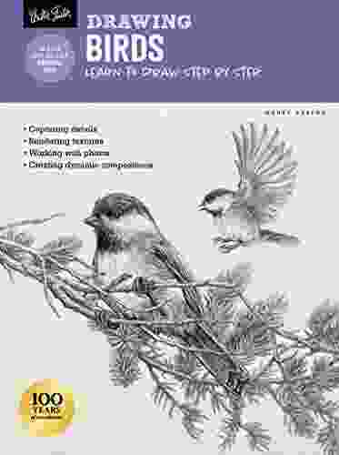Drawing: Birds: Learn To Draw Step By Step (How To Draw Paint)