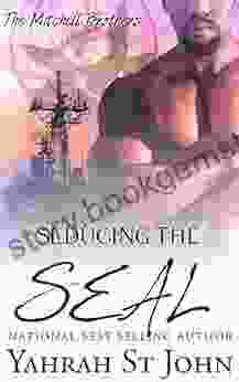 Seducing The Seal (The Mitchell Brothers 2)