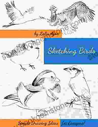 Sketching Birds And Butterflies: Simple Drawing Ideas For Everyone