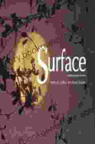 Surface: Land/water And The Visual Arts Symposium 2004